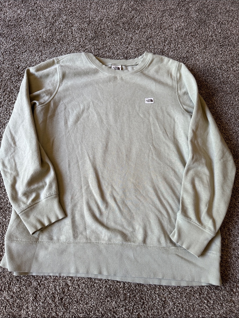 The North Face women’s Crewneck Sweater in Light Sage Green
